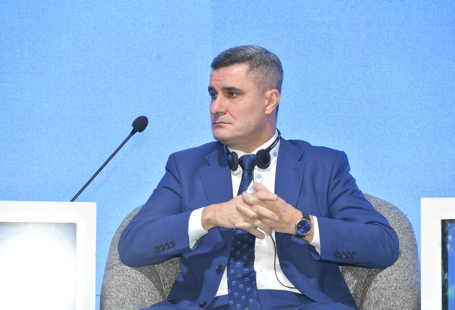 Radik İsmayılov: İnformasiya mühitində təhlükəsizlik məsələləri getdikcə daha ciddi xarakter alır