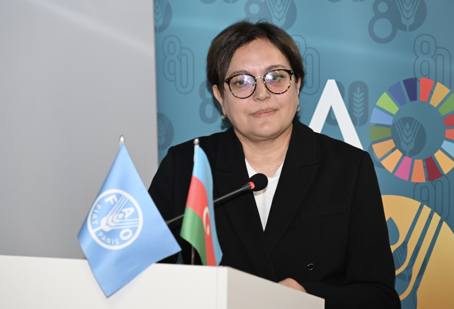 Nazir müavini: Azərbaycanda son dörd ildə 12 milyondan çox ağac əkilib VİDEO