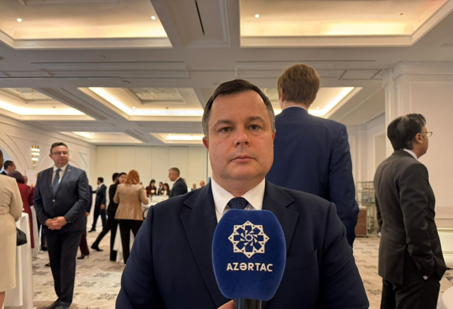 Посол Молдовы: Сотрудничество с Азербайджаном развивается динамично и результативно
