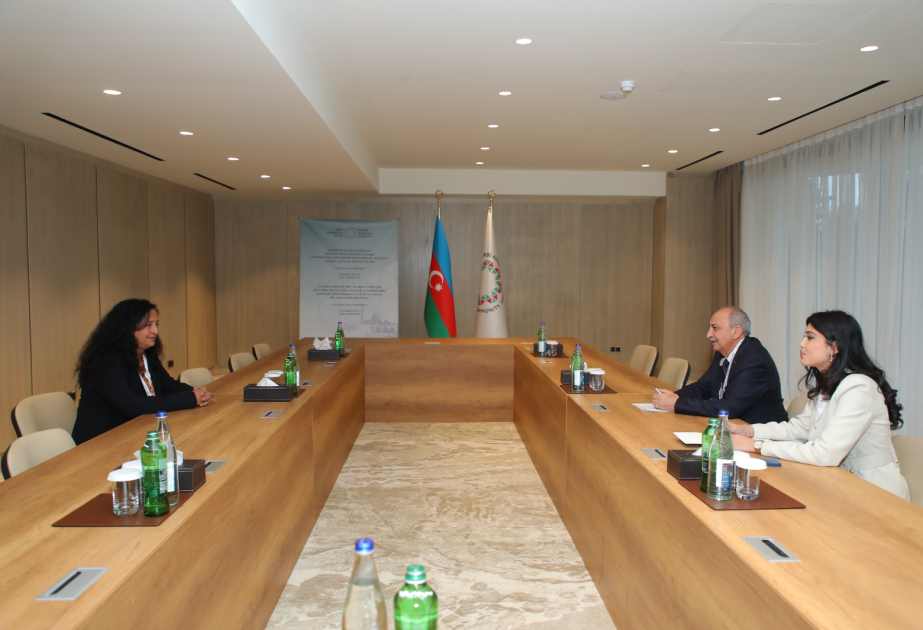 President of Mantraya Institute for Strategic Studies briefed on Western Azerbaijanis displacement
