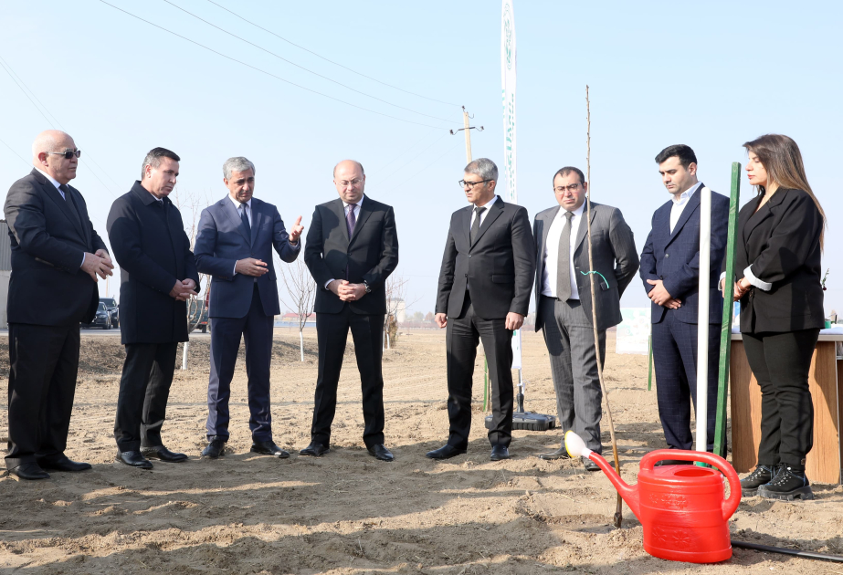Naxçıvanda ilk dəfə innovativ texnologiyaların tətbiq edildiyi tingçilik sahələri və kolleksiya meyvə bağı yaradılıb