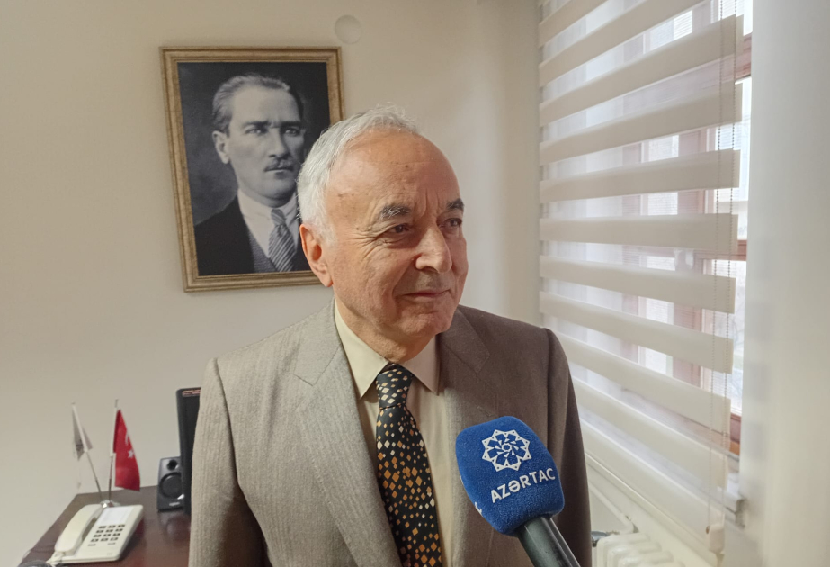 Глава турецкого аналитического центра: Стабильность и мир на Южном Кавказе – приоритет для Анкары