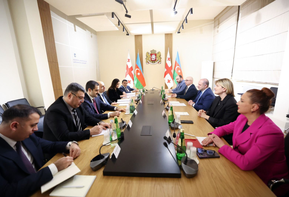 Azerbaijan, Georgia explore prospects for cooperation in education and science