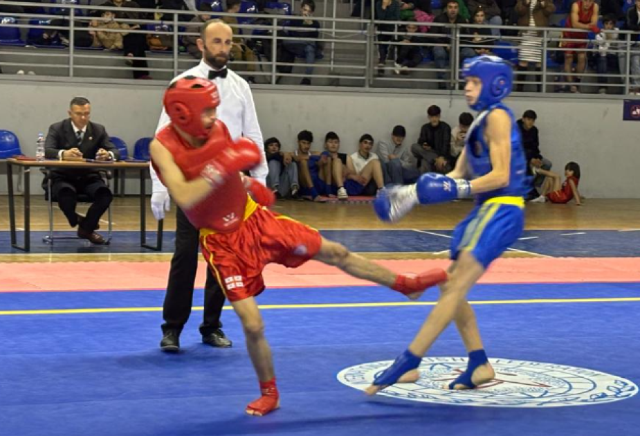 Gürcüstanda yaşayan soydaşlarımız çempionatda 9 medal qazanıblar