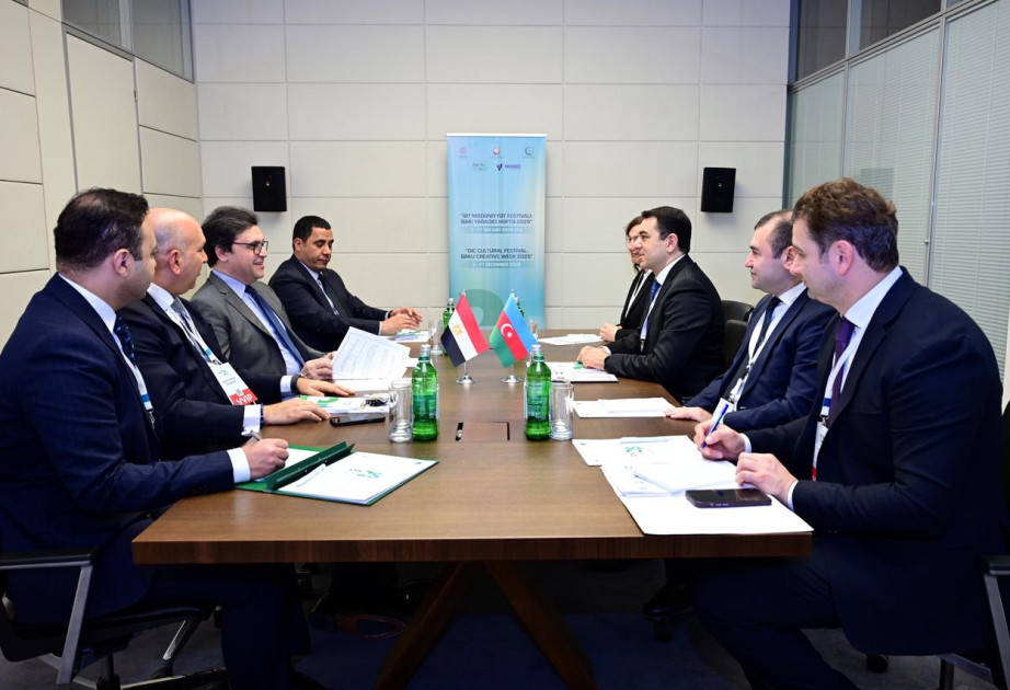 Azerbaijan and Egypt explore prospects for cultural cooperation