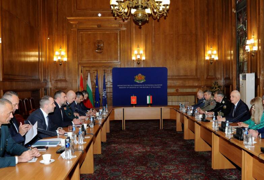Montenegrin, Bulgarian Defence Ministers meet in Sofia, discuss cooperation