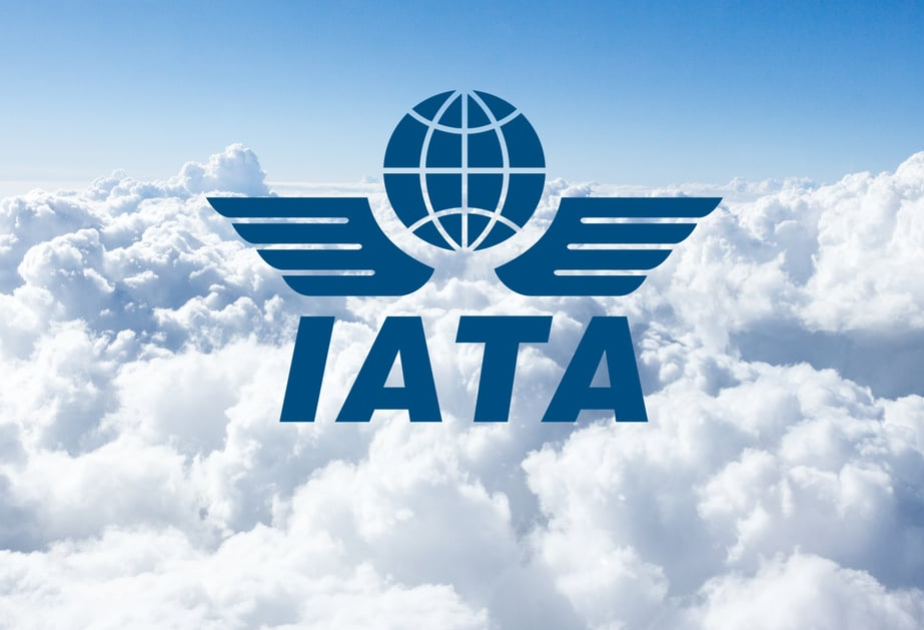 IATA: В следующем году мировые авиакомпании получат рекордную чистую прибыль в размере 41 миллиарда долларов