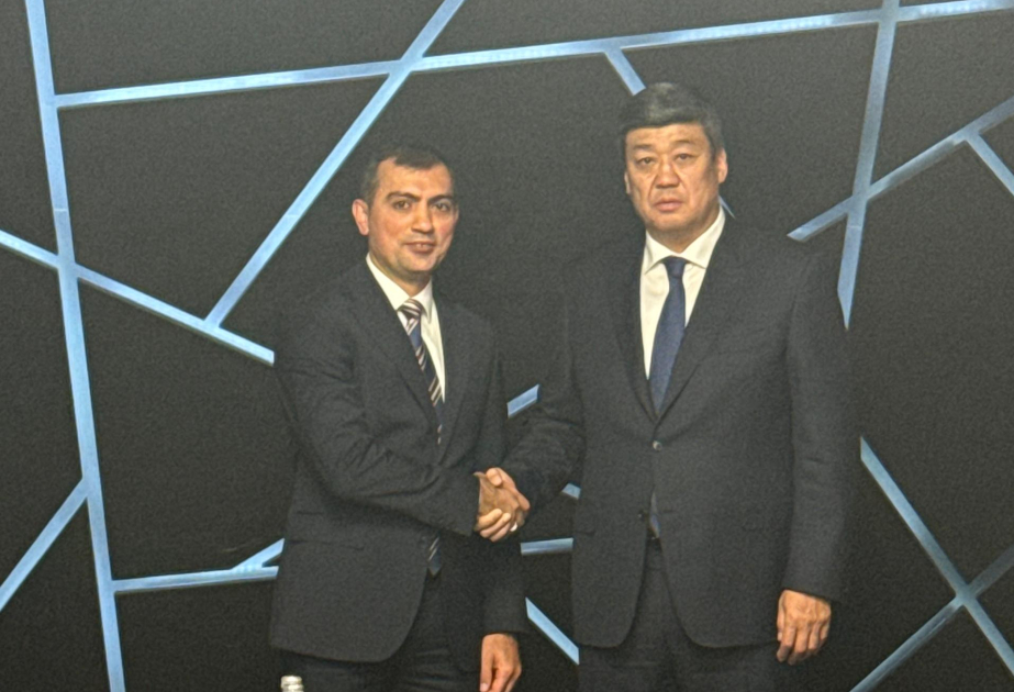 Kyrgyzstan eyes leveraging Azerbaijani satellites