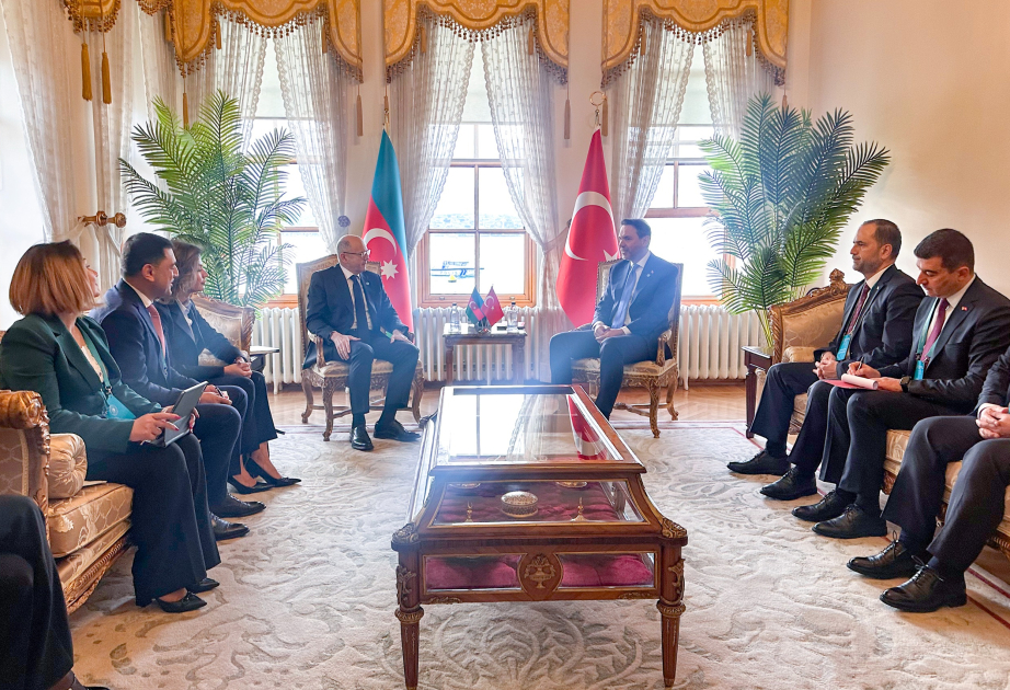 Energieminister von Aserbaidschan und der Türkei treffen sich in Istanbul