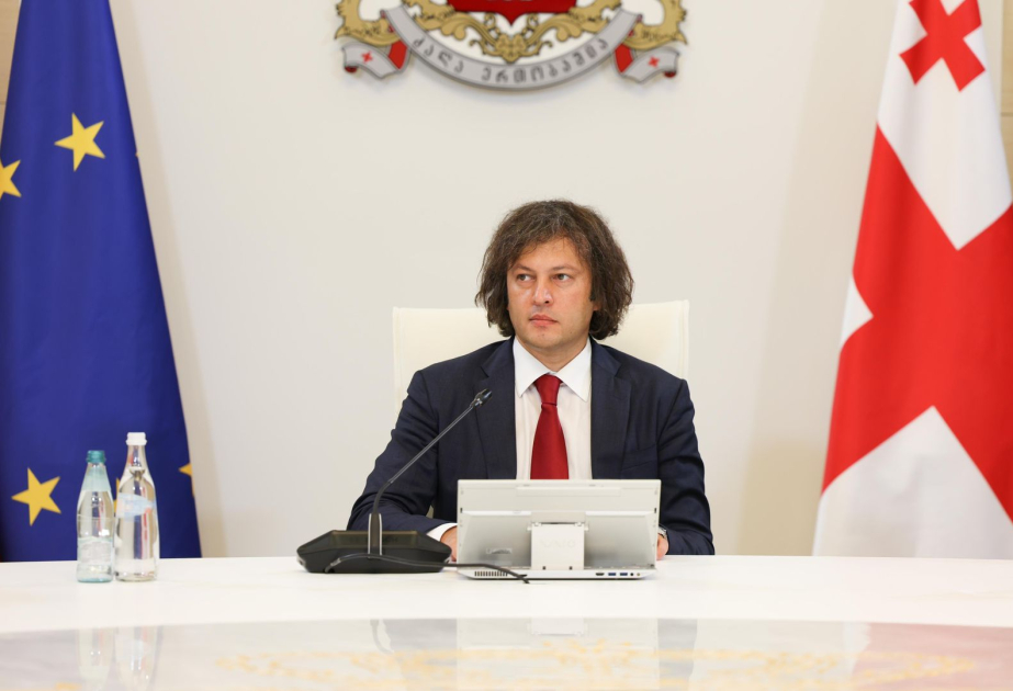 Georgian government to write off one billion lari in fines for renewable energy companies under strict conditions