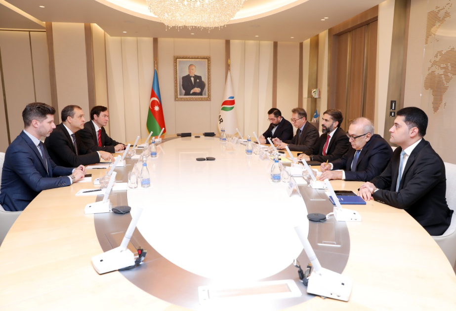 SOCAR-ın prezidenti “MVM Group”un baş icraçı direktoru ilə görüşüb