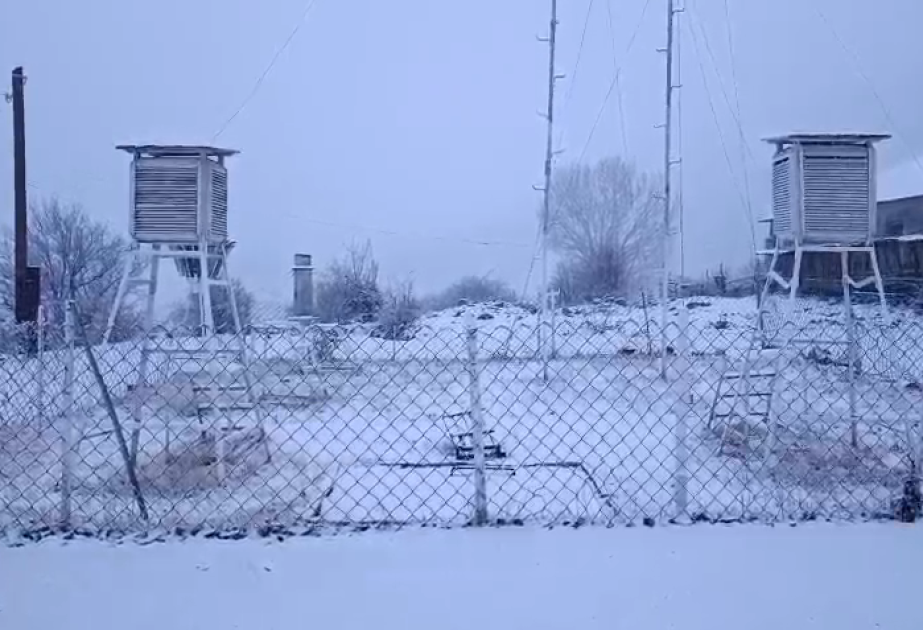 Naxçıvanda qarın hündürlüyü 3 santimetrə çatıb VİDEO