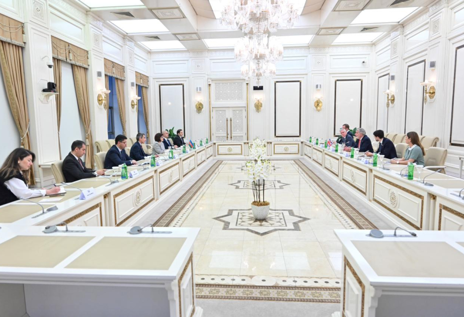 Azerbaijan, UK discuss strengthening interparliamentary ties