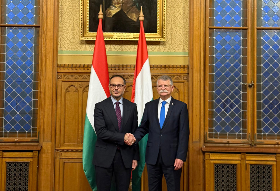 El Secretario General de TURKPA se reúne con el Director Ejecutivo de la Oficina de Budapest de la Organización de Estados Túrquicos