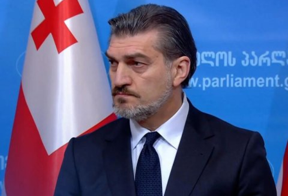 Gürcüstan Prezidenti “Toplantılar və nümayişlər haqqında” Qanuna düzəlişləri təsdiqləyib