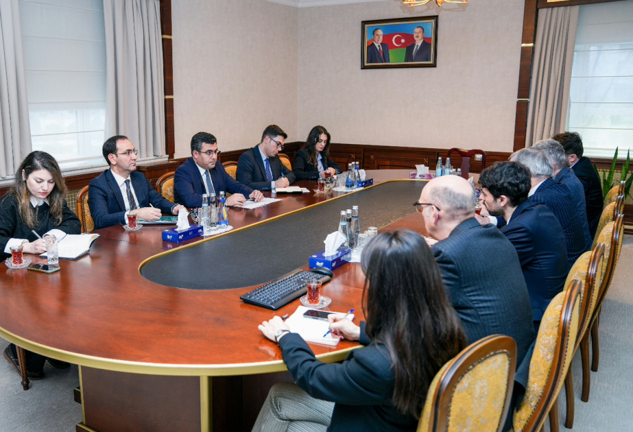 Meeting with UK delegation held in Nakhchivan