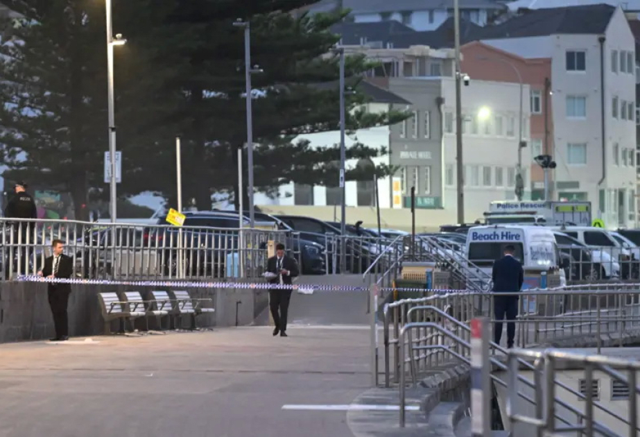Aussie PM flags stricter gun laws after Bondi Beach mass shooting