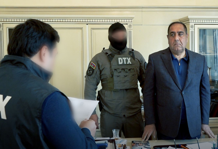 Criminal acts of former head of Balakan District Executive Power uncovered