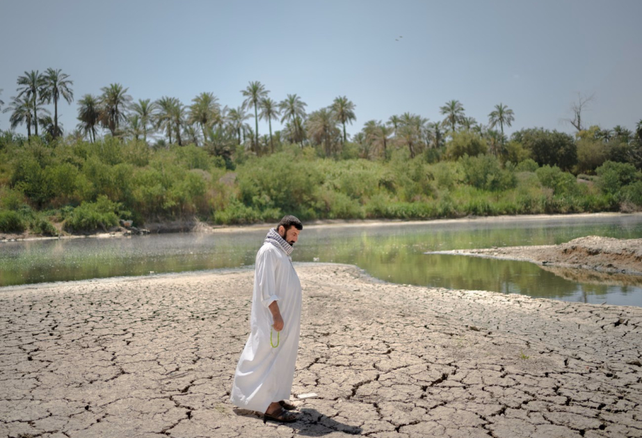 Река Тигр в Ираке под угрозой исчезновения