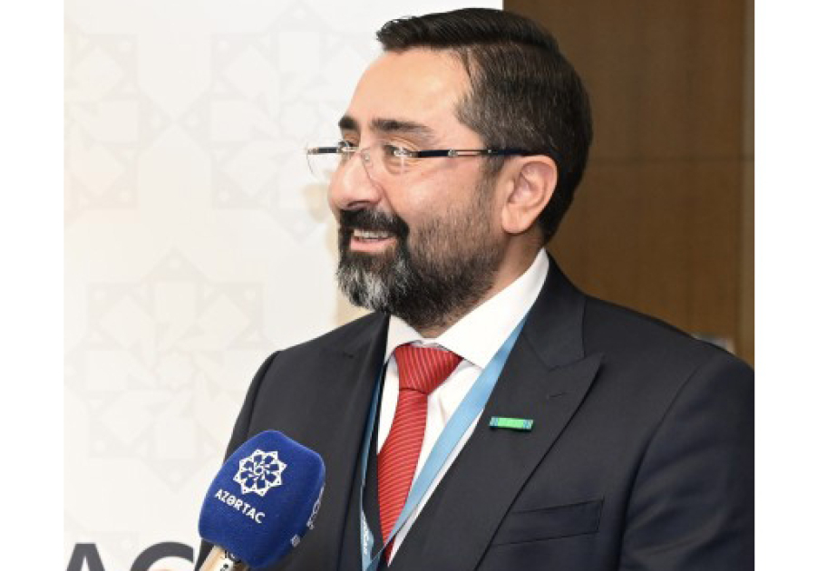Etibarlı enerji tədarükü infrastrukturun səmərəli idarə olunmasından başlayır - icraçı direktor