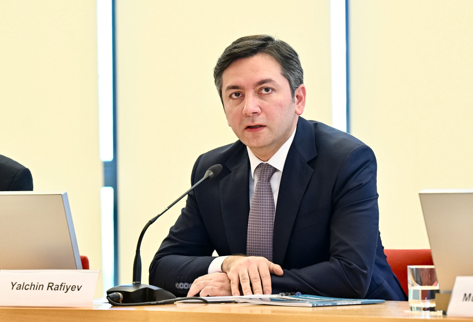COP29 Lead Negotiator: Azerbaijan demonstrated constructive leadership during its presidency