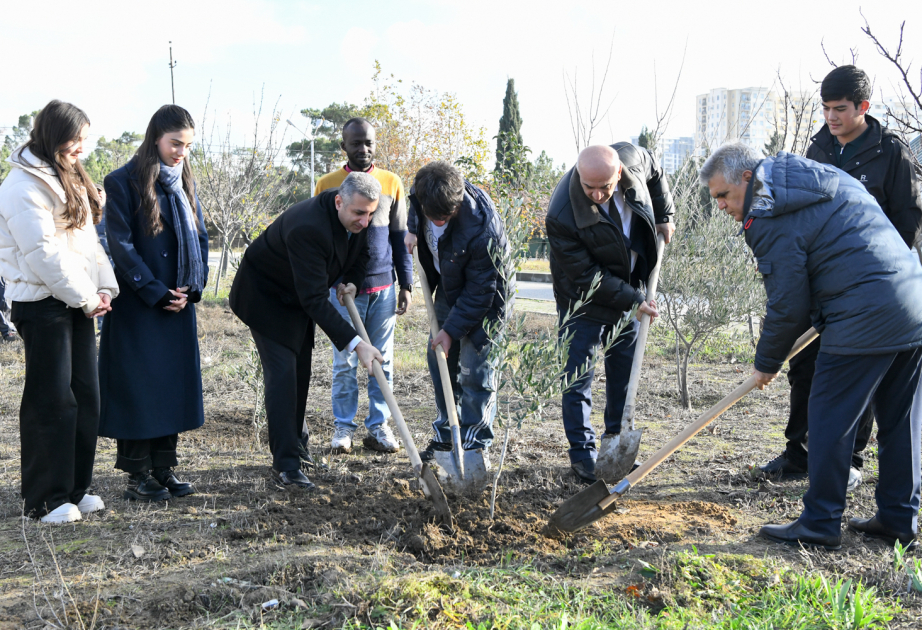 BMU-da “Yaşıl kampus” konsepsiyası çərçivəsində növbəti aksiya keçirilib
