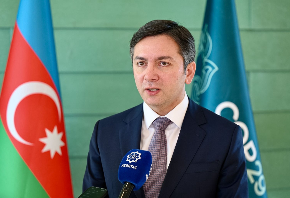 Ялчин Рафиев: Азербайджан готов поддержать братскую Турцию в процессе подготовки к COP31 ВИДЕО