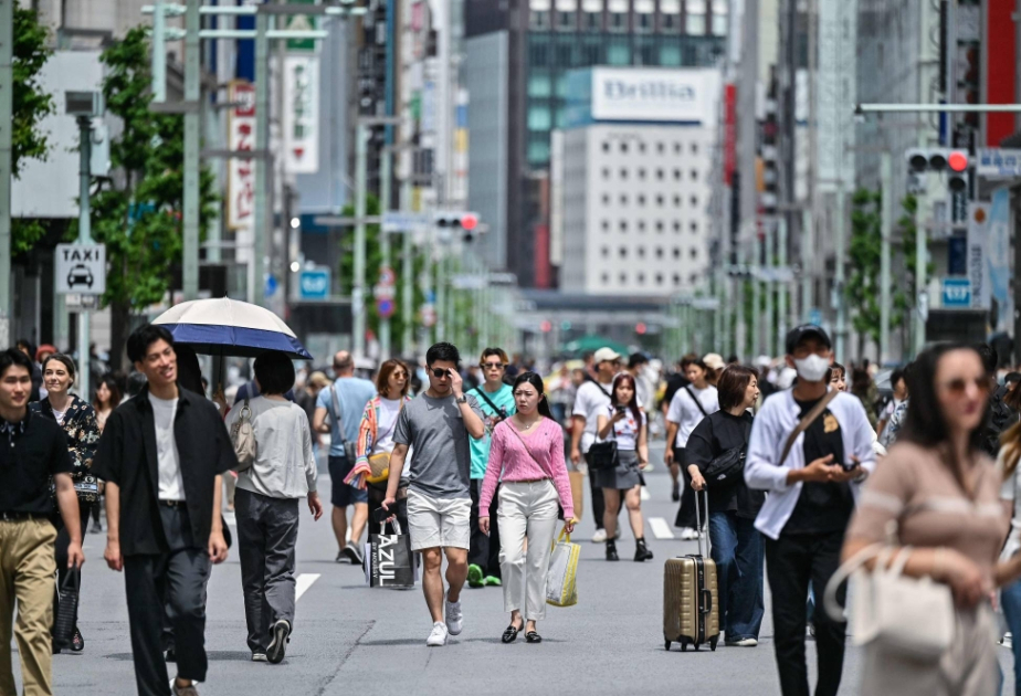 Visitors to Japan in January-November top yearly high