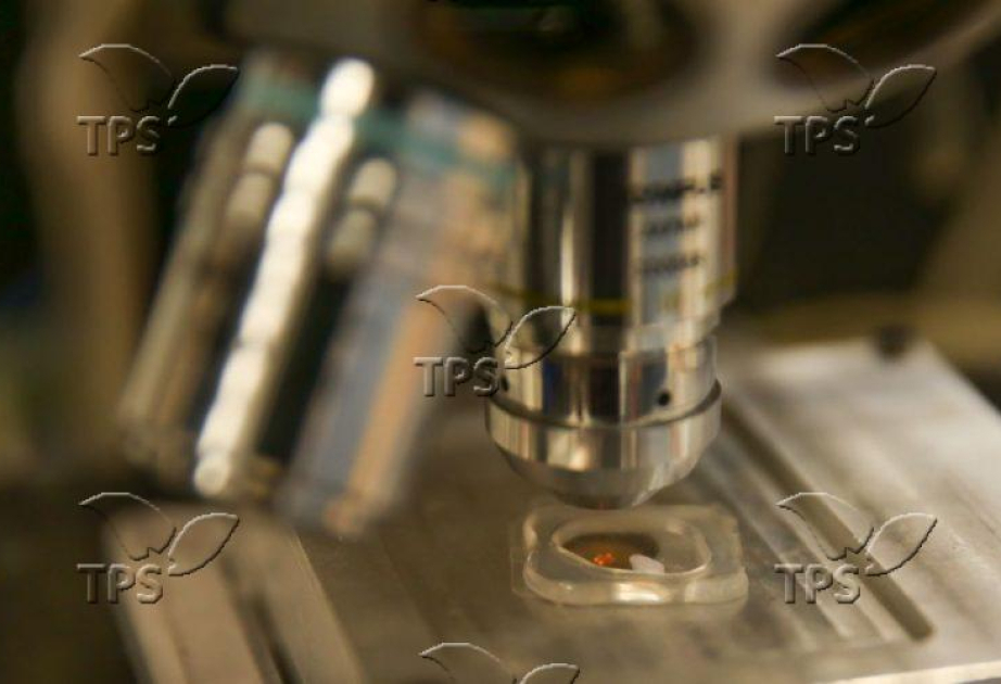 Israeli scientists discover tiny viral switch that could fight antibiotic-resistant bacteria