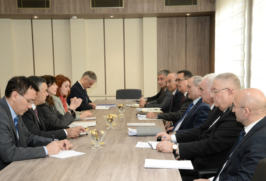 Chairman of State Statistical Committee meets with UN Resident Coordinator in Azerbaijan