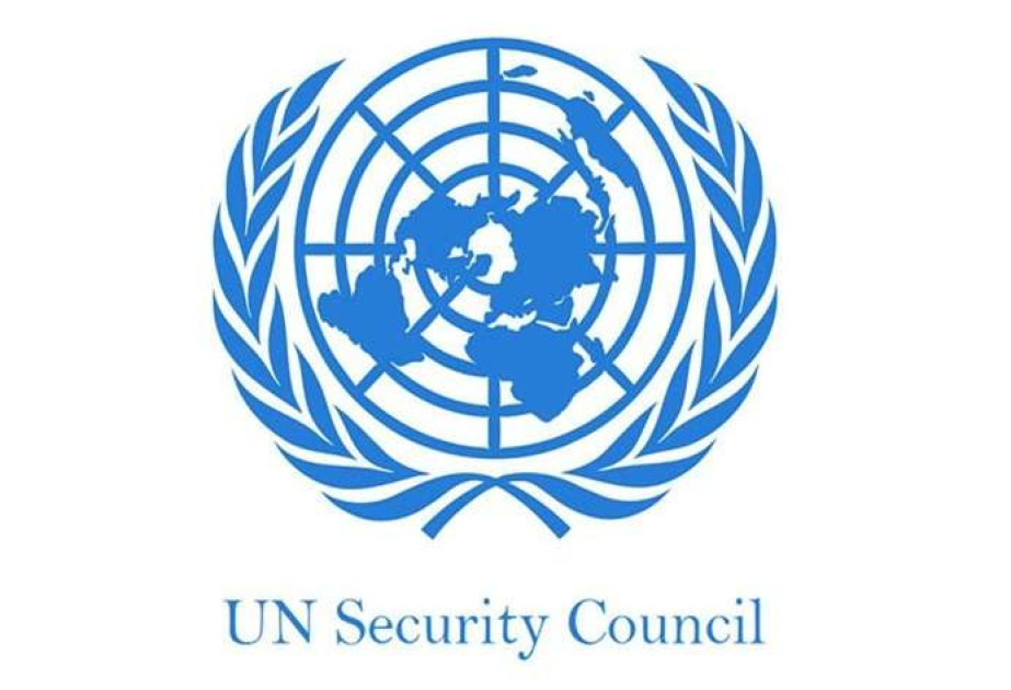 UNSC report rejects Afghan interim government’s claim of ‘no safe havens’