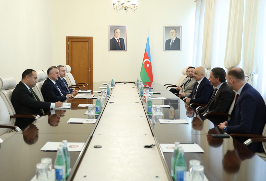 Azerbaijani Health Minister meets with medical specialists of high international repute