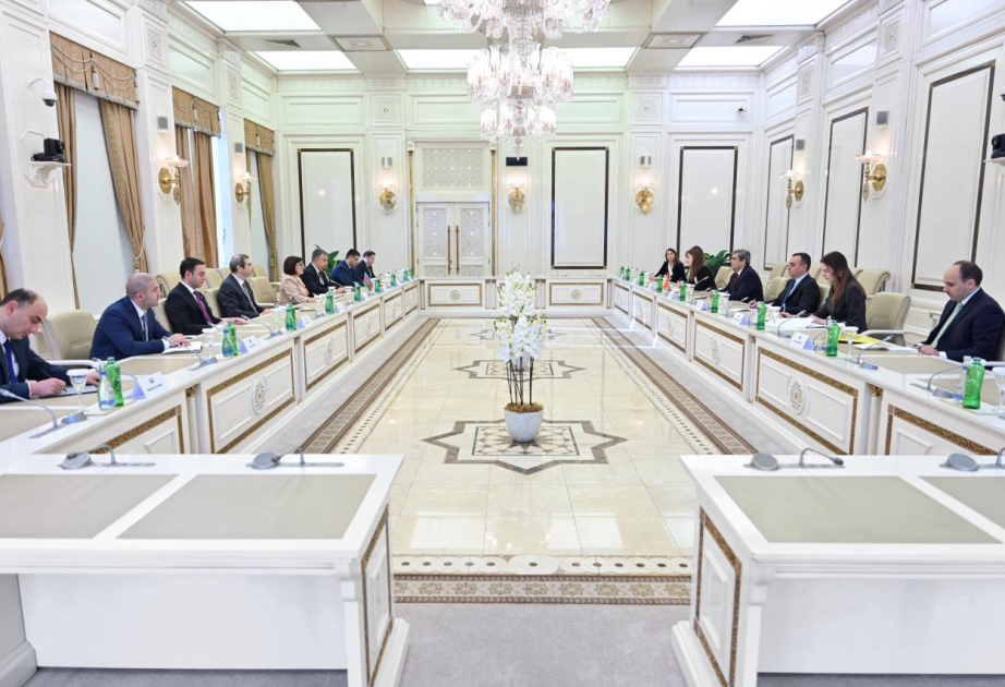 Se examinan las cuestiones de cooperación entre Azerbaiyán y Montenegro en los ámbitos de la economía, el turismo, la inversión y otros sectores