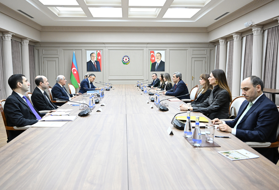 Prime Minister Ali Asadov meets with Montenegrin Deputy PM