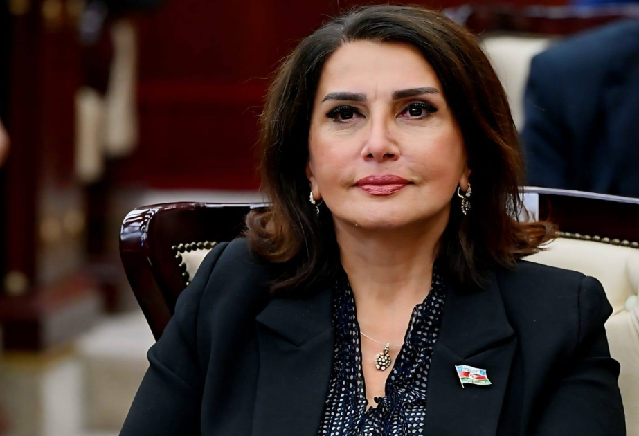 نائبة المجلس الوطني: القرارات المتحيزة للبرلمان الأوروبي لن تثني أذربيجان عن مسارها الصحيح