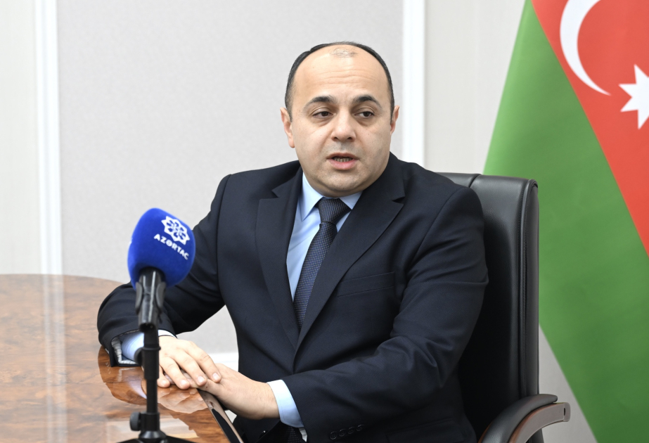 Nazir müavini: Bu, əhatə dairəsinə görə ən böyük amnistiya olacaq