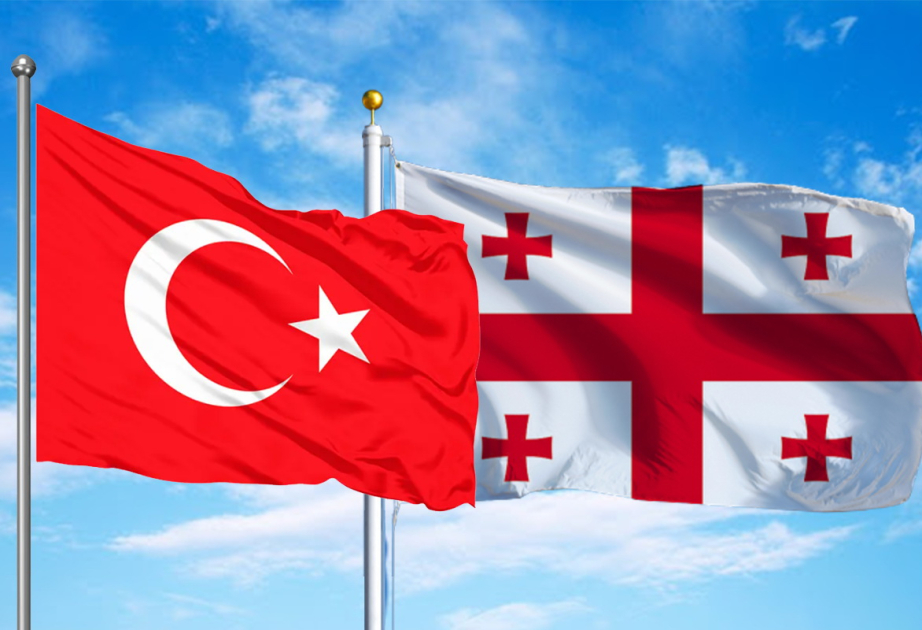 Gürcüstanın daxili işlər naziri Türkiyəyə rəsmi səfər edəcək