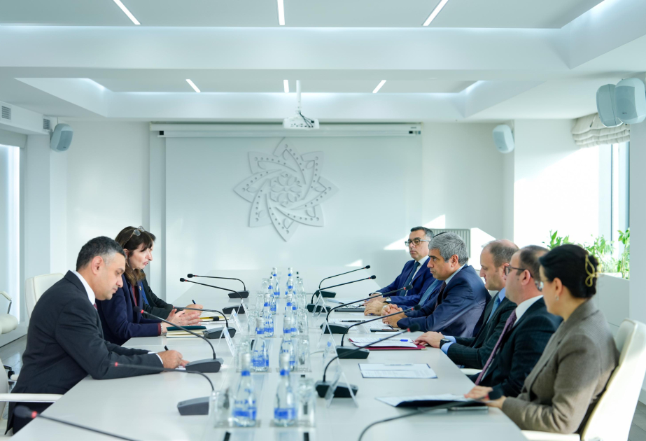 UN official commends cooperation with Azerbaijan