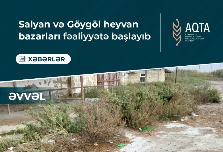 Salyan və Göygöl heyvan bazarları fəaliyyətə başlayıb