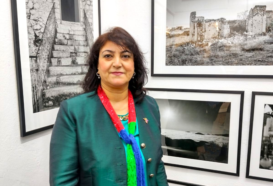 Azerbaijani literature in India – Eluja Ataly's work as subject of a doctoral research project