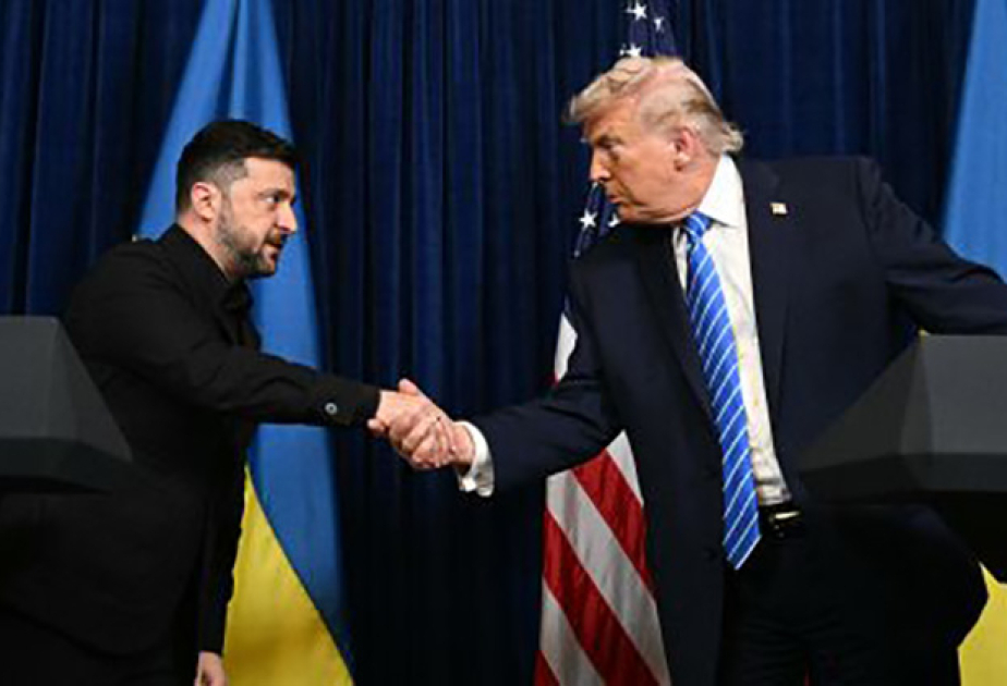 Зеленский предложил Трампу предоставить Украине гарантии безопасности на 30-50 лет