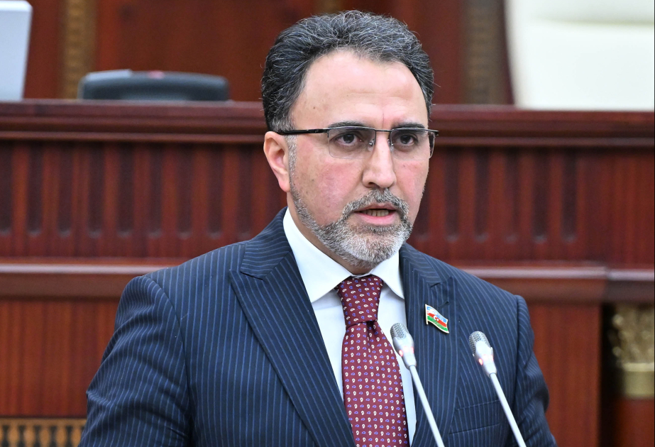 Milli Məclis Dünya Azərbaycanlılarının Həmrəyliyi Günü münasibətilə müraciət qəbul edib