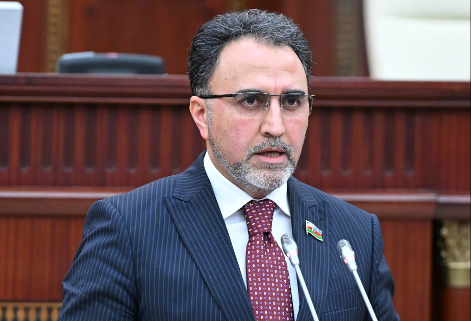 Milli Majlis de Azerbaiyán aprueba un llamamiento con motivo del Día de la Solidaridad de los Azerbaiyanos del Mundo
