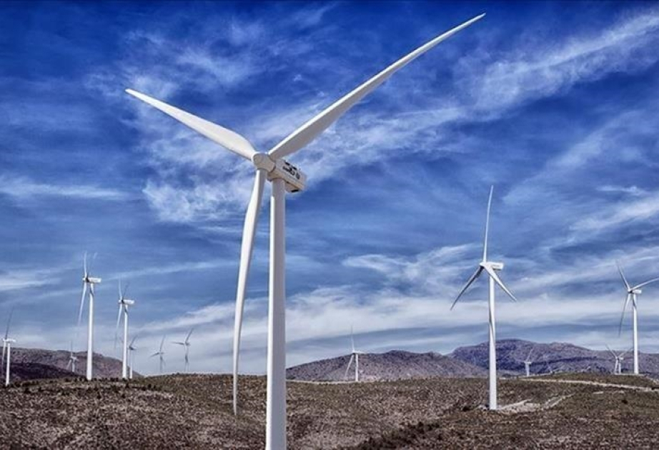 Türkiye's daily wind power generation hits all time high on Jan. 4