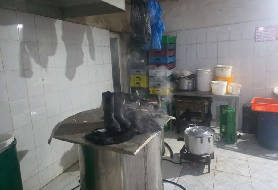 Masazırda qanunsuz fəaliyyət göstərən quş kəsimi sexi aşkarlanıb