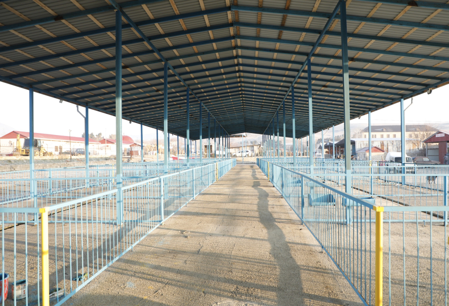 Şamaxıda yerləşən heyvan bazarının yaxın günlərdə açılışı olacaq