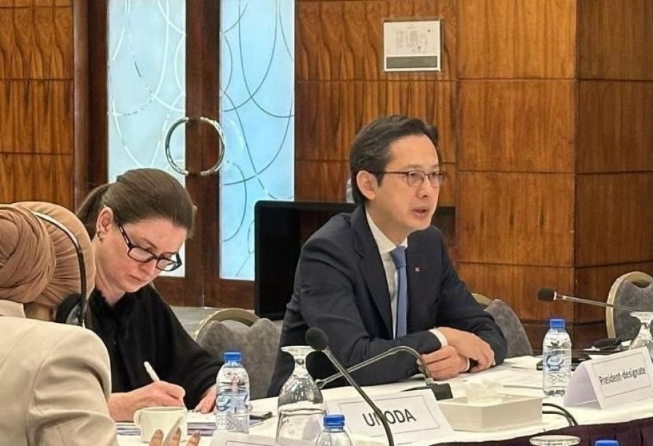 Vietnam chairs consultation on NPT RevCon 11 with Middle East, North Africa countries