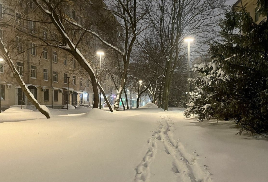 Сильный снегопад в Москве может привести к рекордной высоте снежного покрова