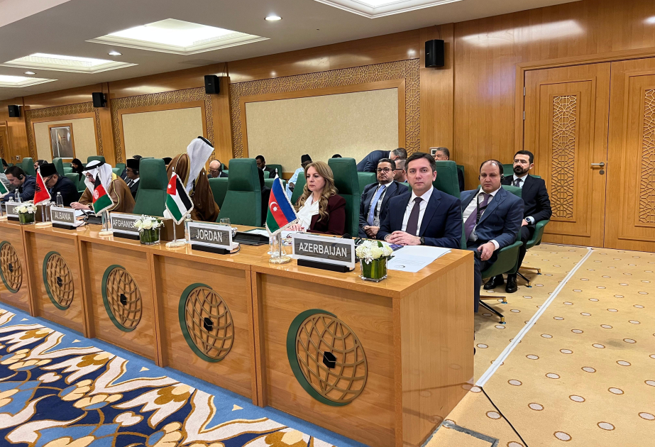 Azerbaijan’s Deputy FM participates in extraordinary OIC session on Somalia