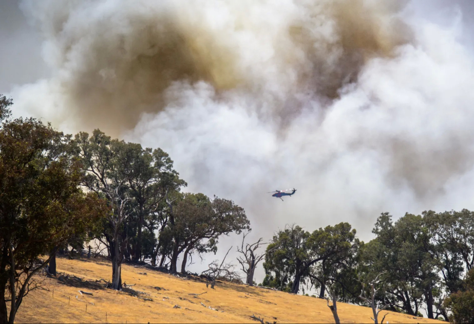 Extremer Sommer in Australien: Gewaltige Buschfeuer toben im Bundesstaat Victoria